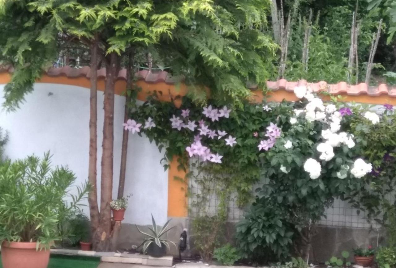 Vila Rosen Lozenec Kültér fotó
